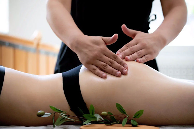 Бразильская попка